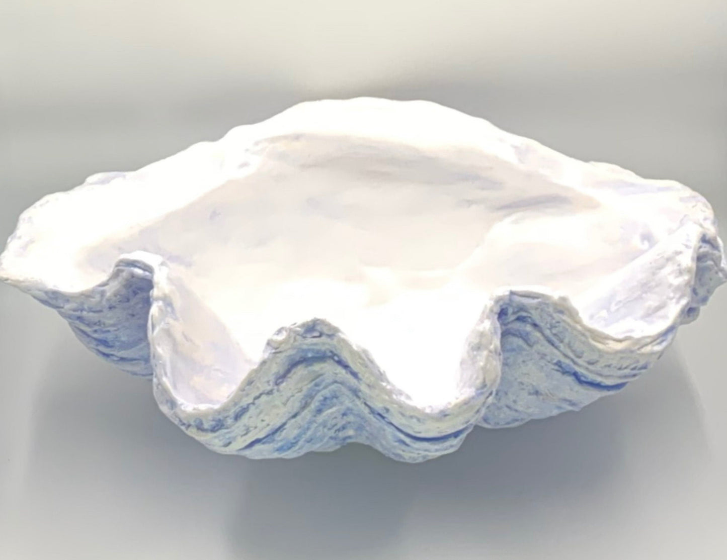 Extra Large Giant Clam Shell in Sky Blue