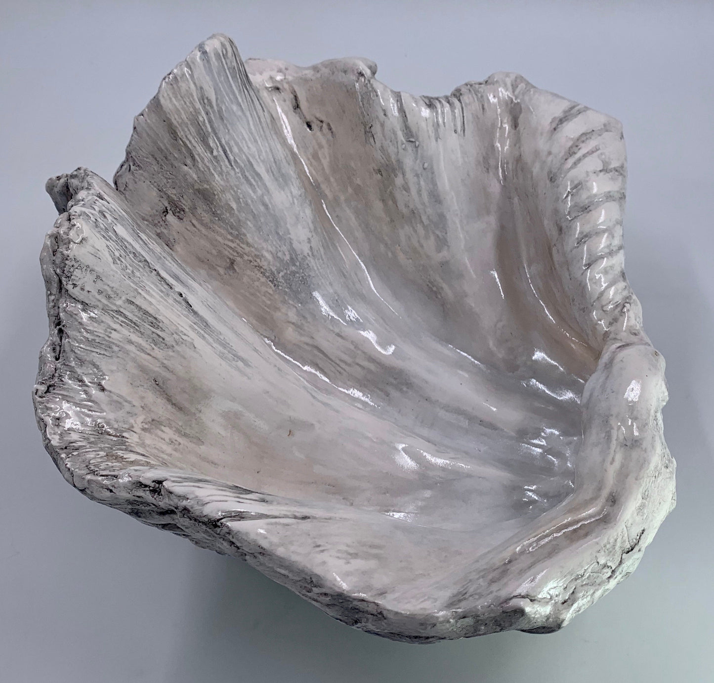 Petite Giant Clam Shell in Contemporary Grey