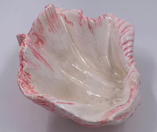 Petite Giant Clam Shell in Pink