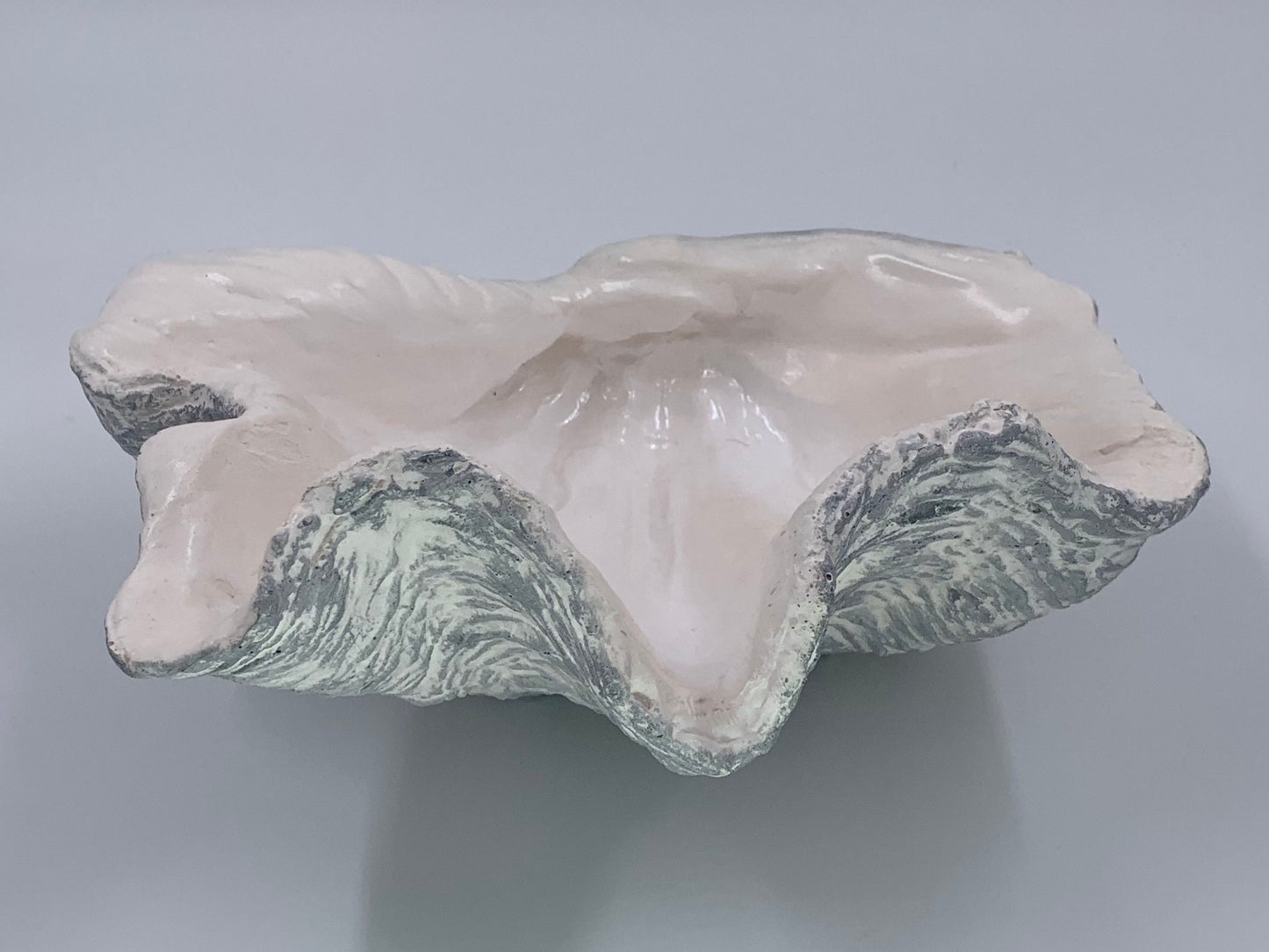 Petite Giant Clam Shell in Silver Fleck