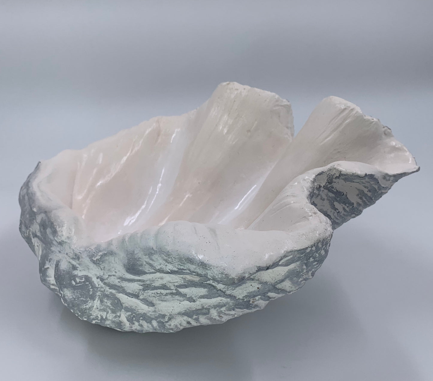 Petite Giant Clam Shell in Silver Fleck