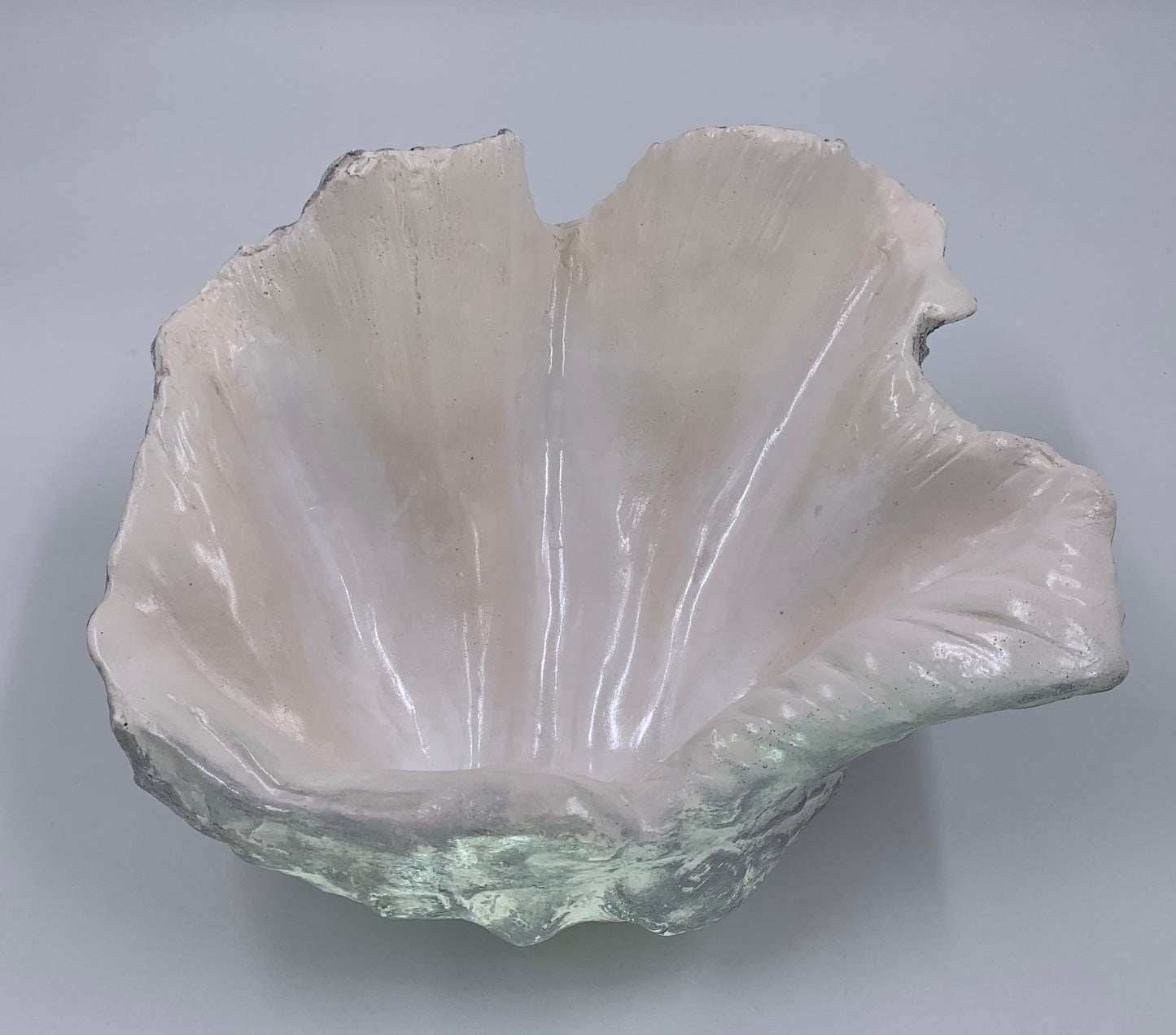 Petite Giant Clam Shell in Silver Fleck