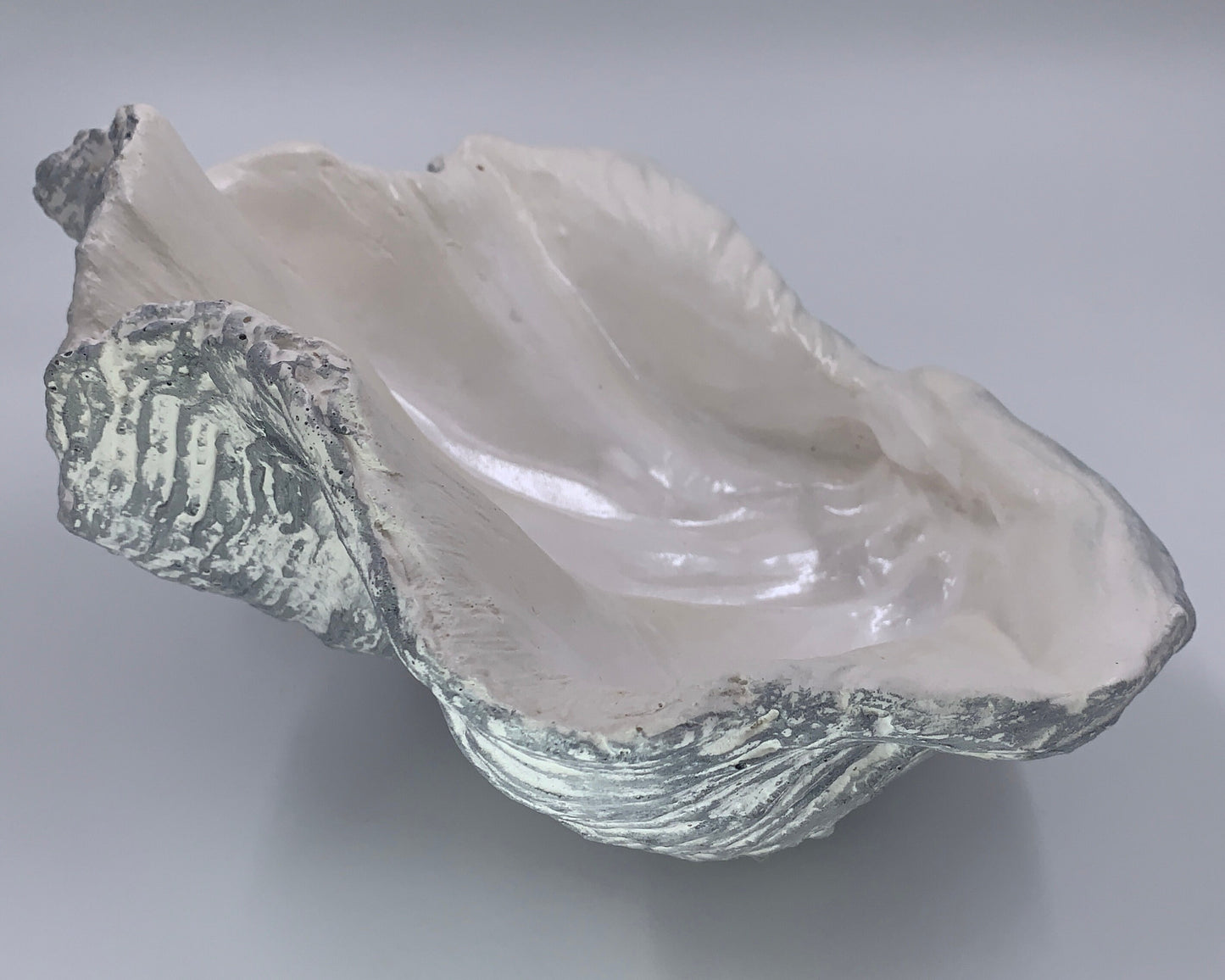 Petite Giant Clam Shell in Silver Fleck