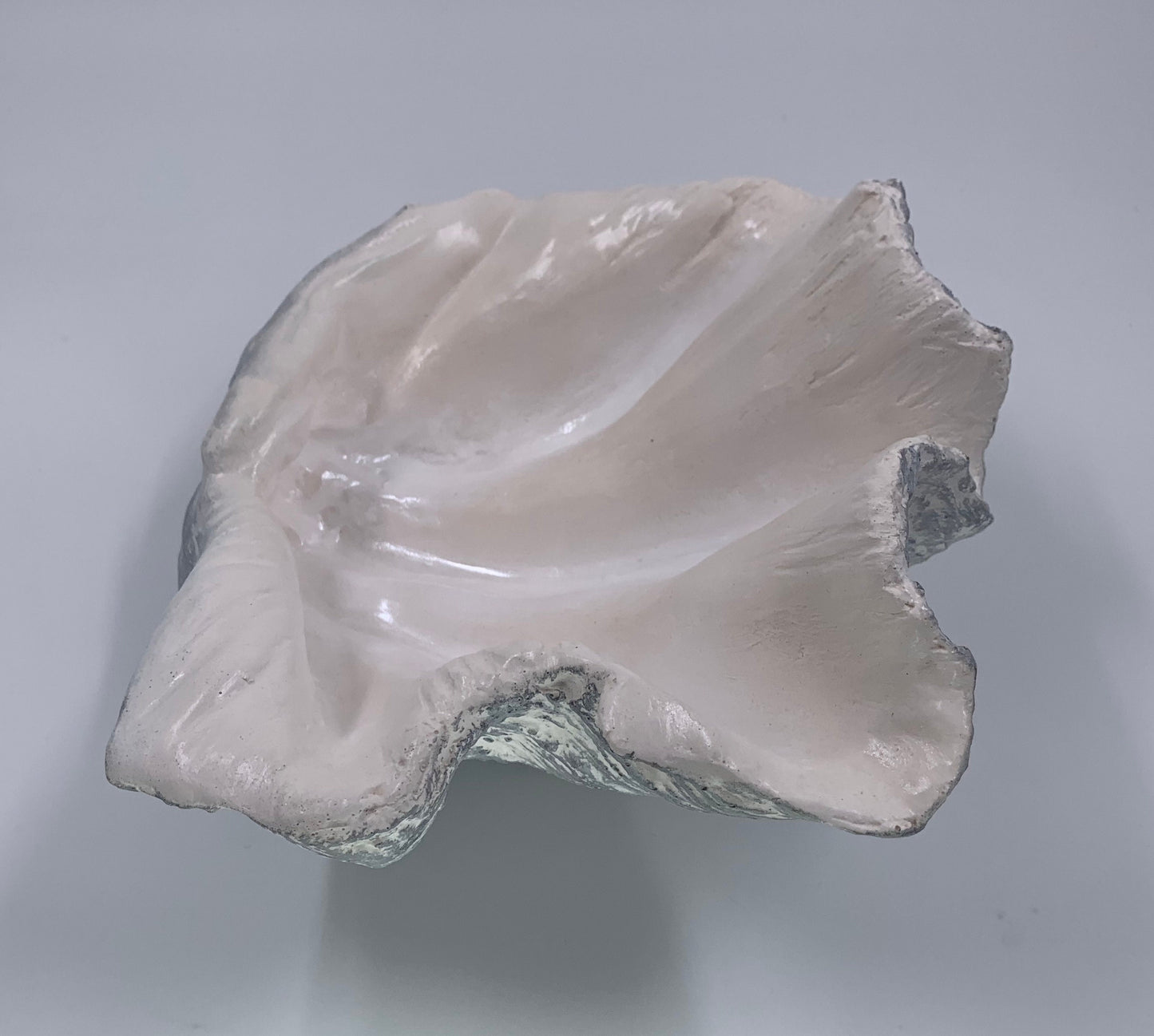 Petite Giant Clam Shell in Silver Fleck