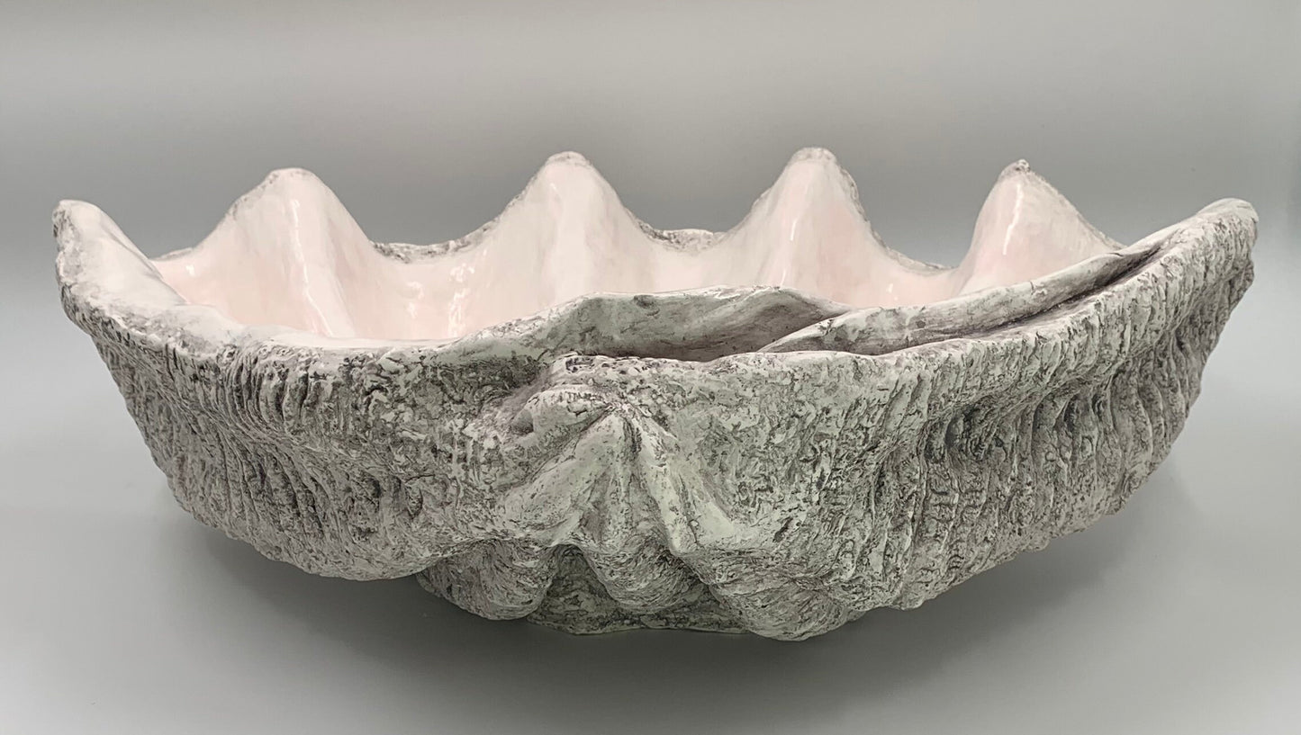 Scalloped Giant Clam Shell in Light Grey