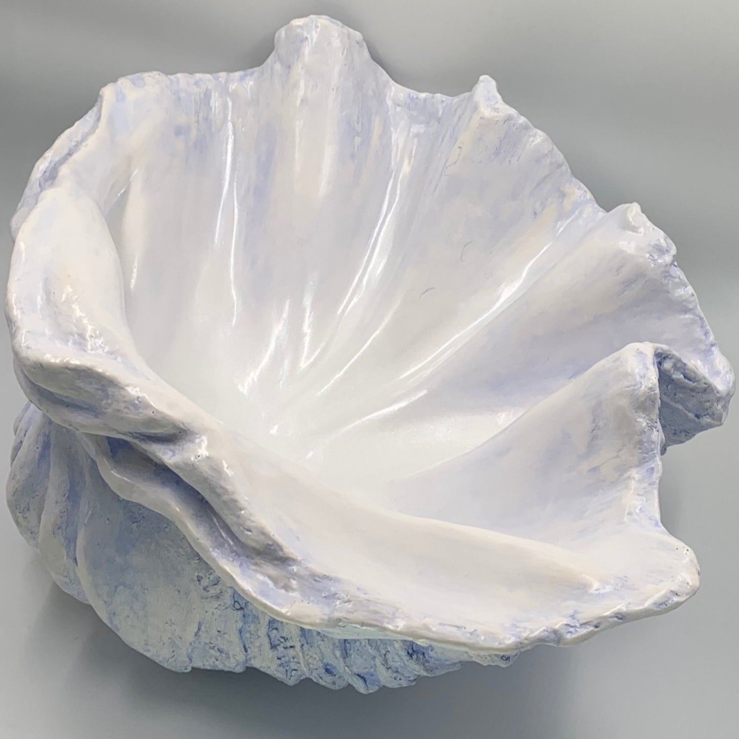 Extra Large Giant Clam Shell in Sky Blue