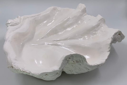 Platter Giant Clam Shell in White
