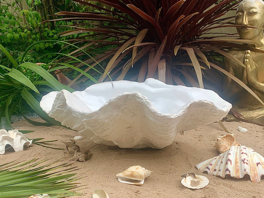 Clam Shell bowl medium in White