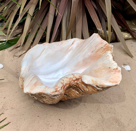Petite Giant Clam Shell in Burnt Umber