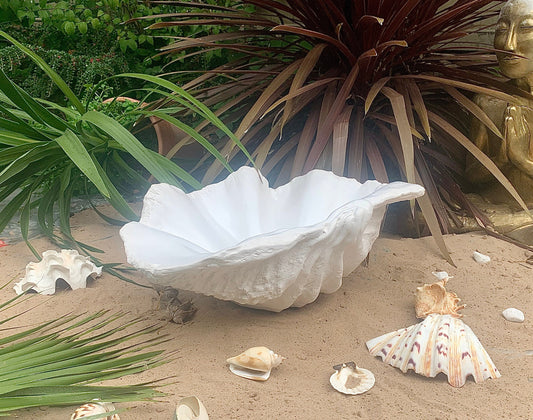 Clam Shell bowl medium in White