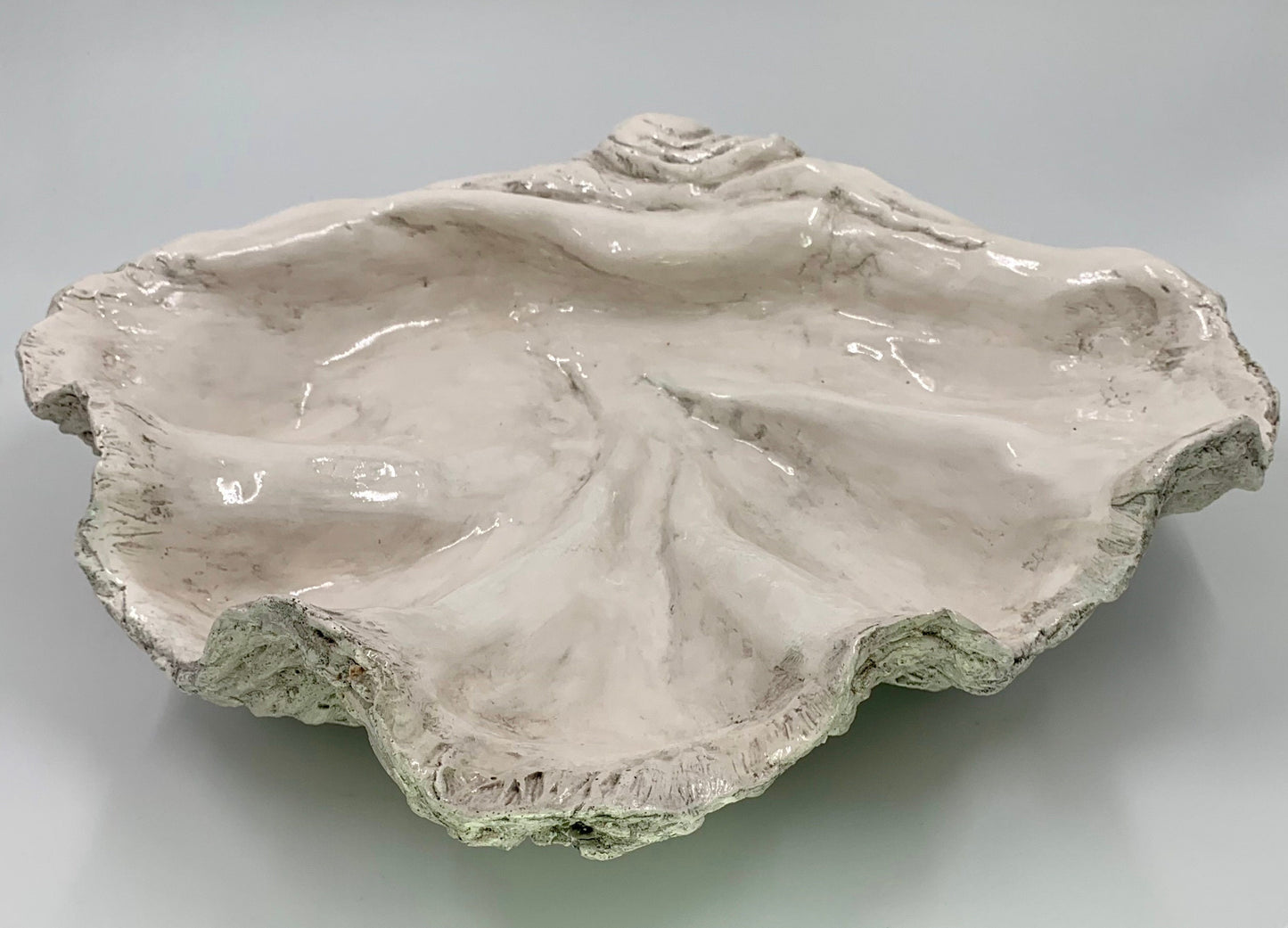 Platter Giant Clam Shell in Grey