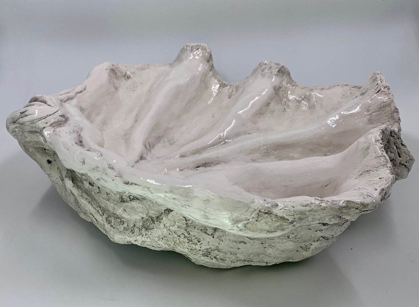 Platter Giant Clam Shell in Grey