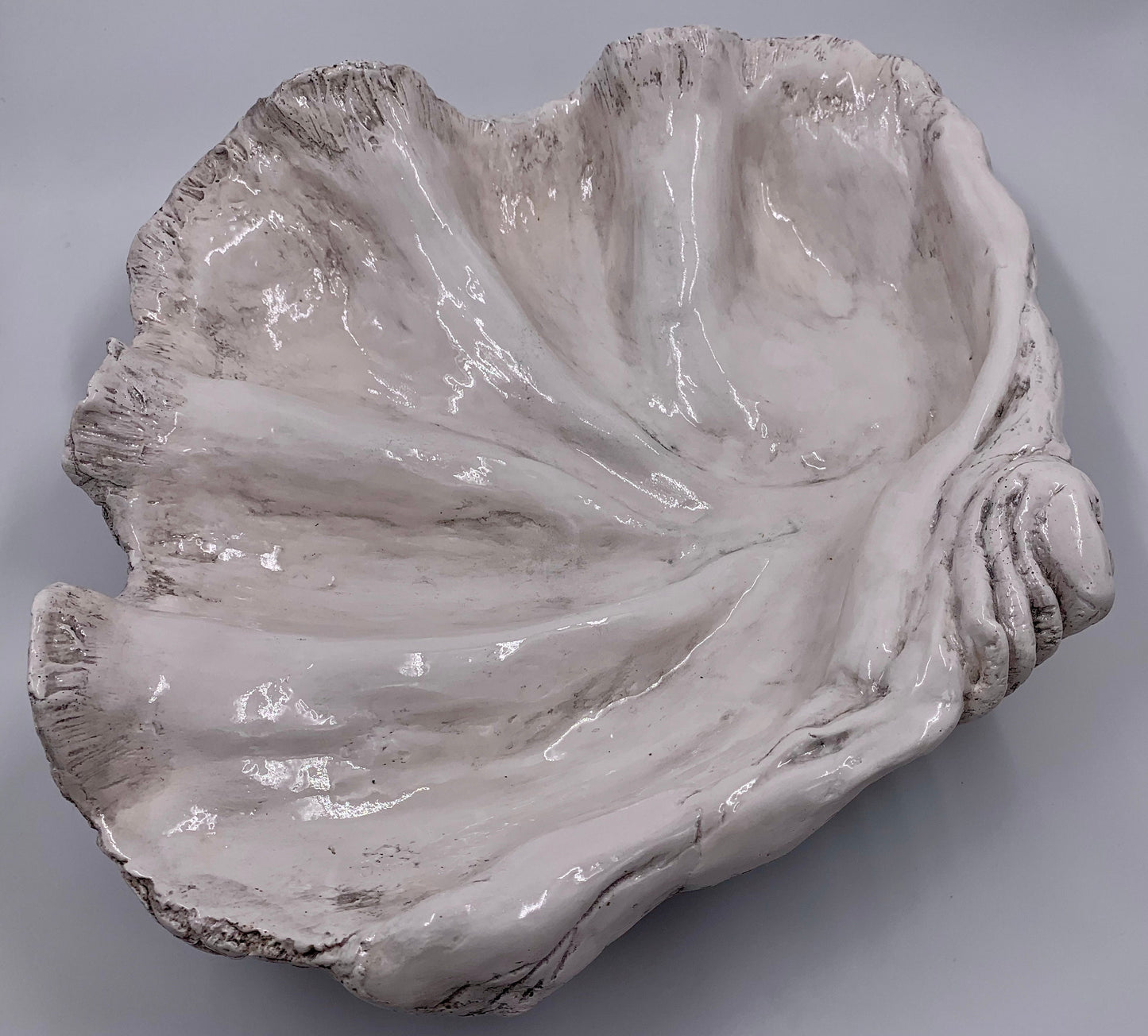 Platter Giant Clam Shell in Grey
