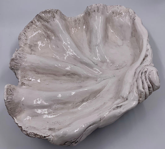 Platter Giant Clam Shell in Grey