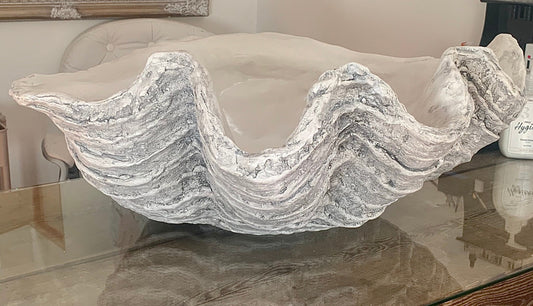 Extra Large Giant Clam Shell in Driftwood Grey