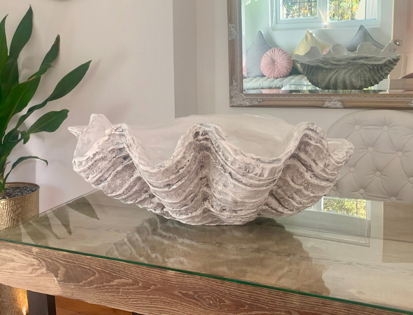 Extra Large Giant Clam Shell in Driftwood Grey