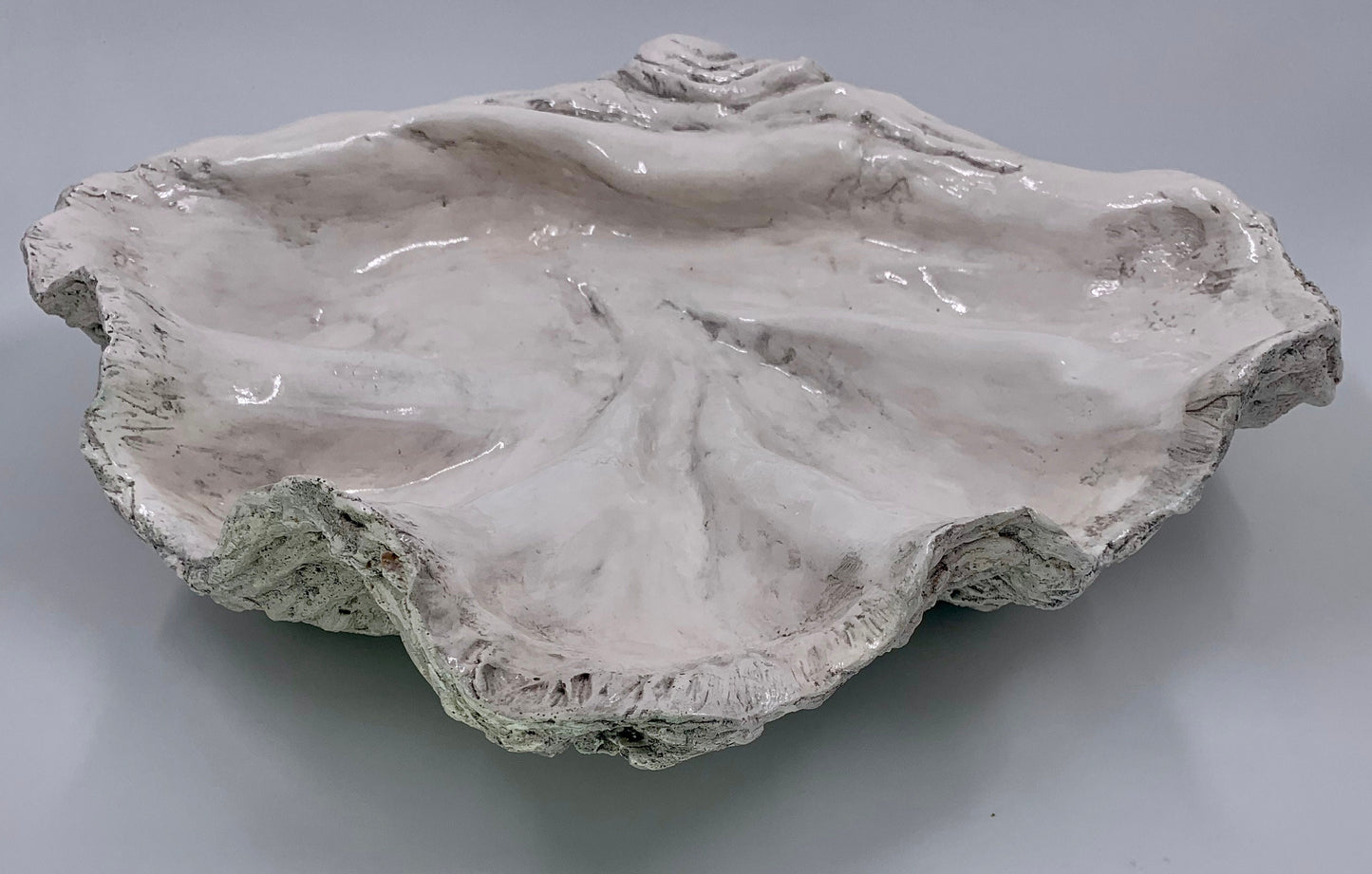 Platter Giant Clam Shell in Grey