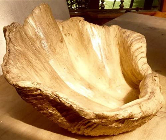 Petite Giant Clam Shell in Tobacco