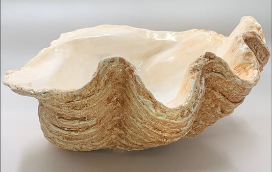 Extra Large Giant Clam Shell in Tobacco