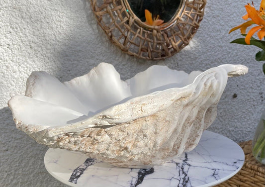Clam Shell bowl medium in Real Sand
